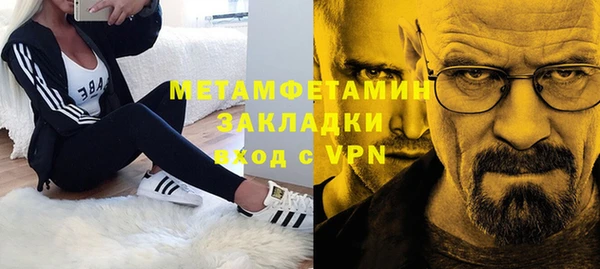 трава Аркадак